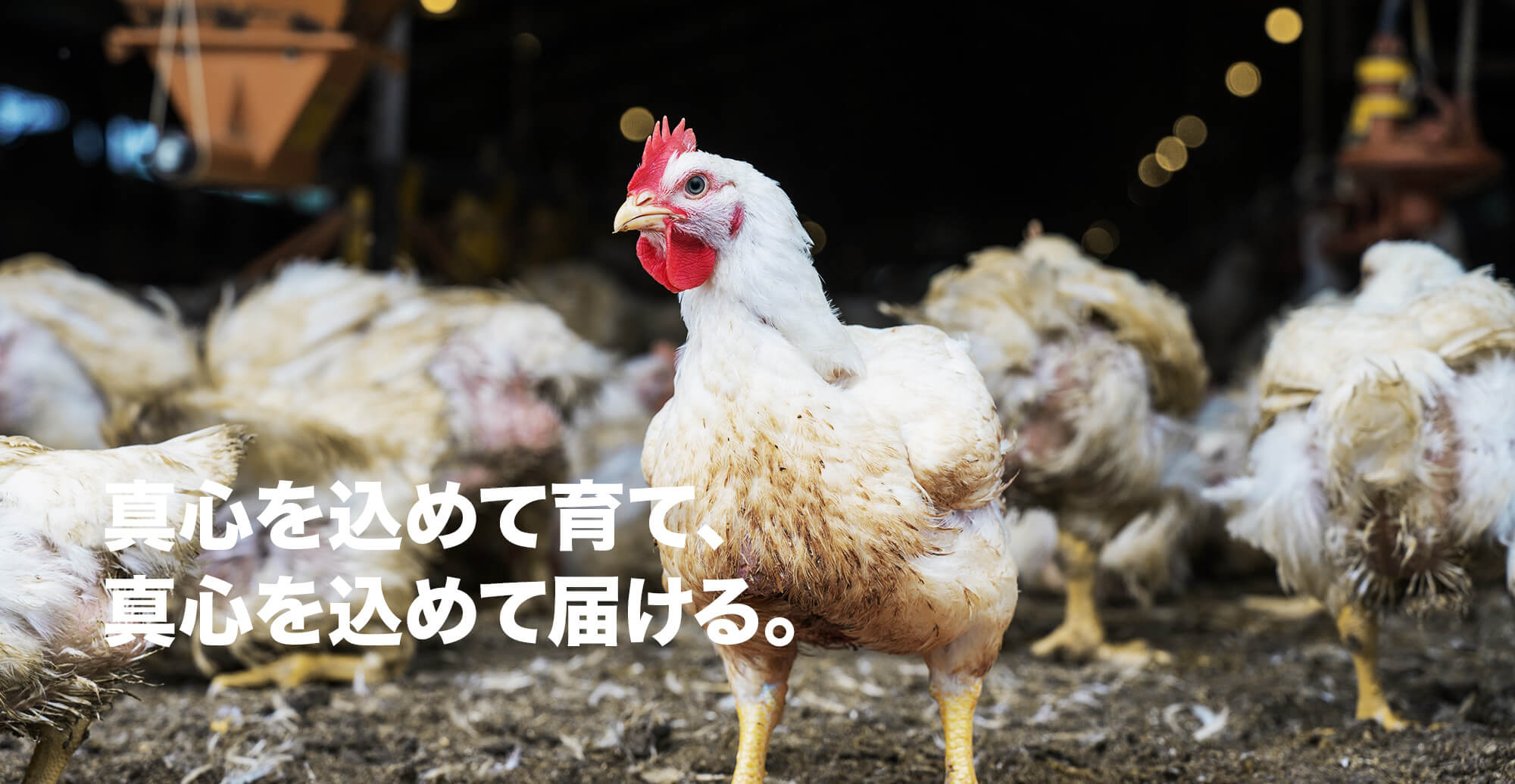 大切に育て、大切に届ける。